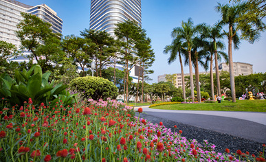广州海珠广场市政广场及道路绿化养护